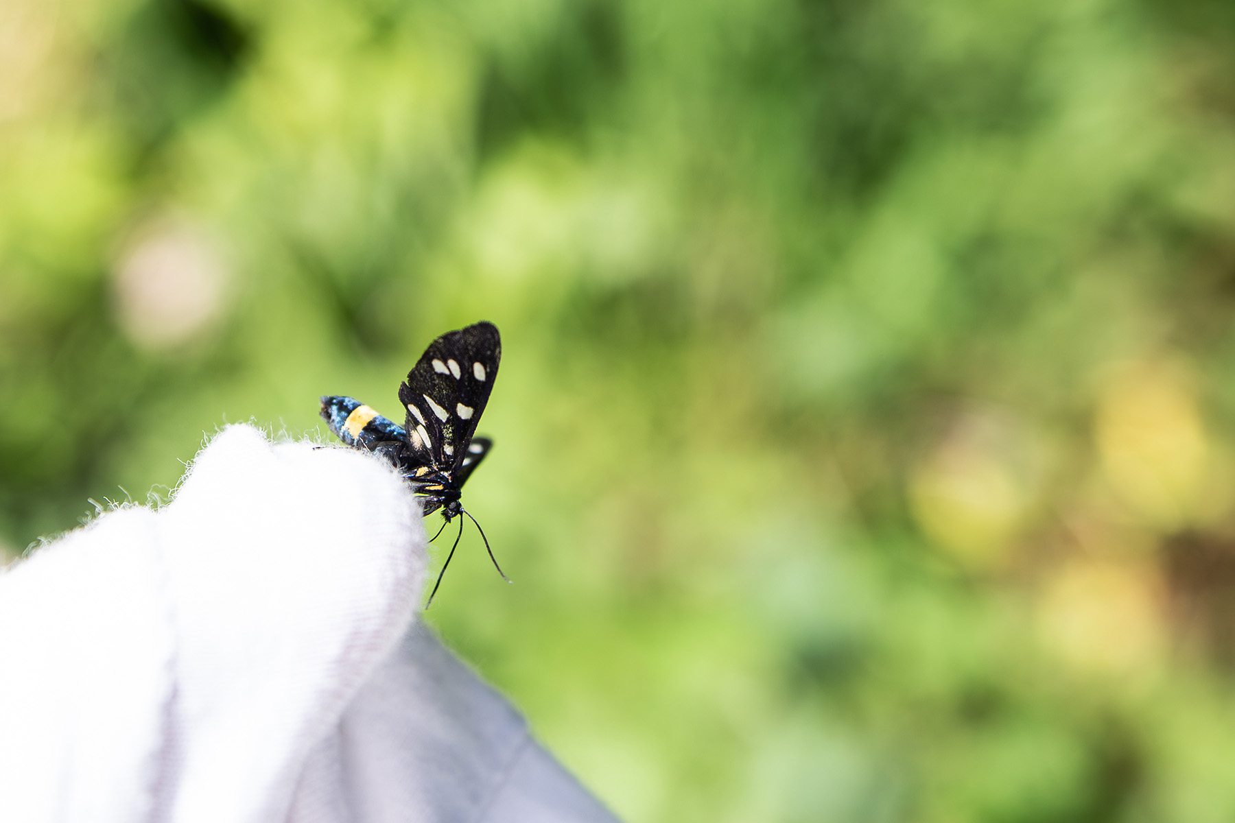 Roadtrip though Balkan 2025