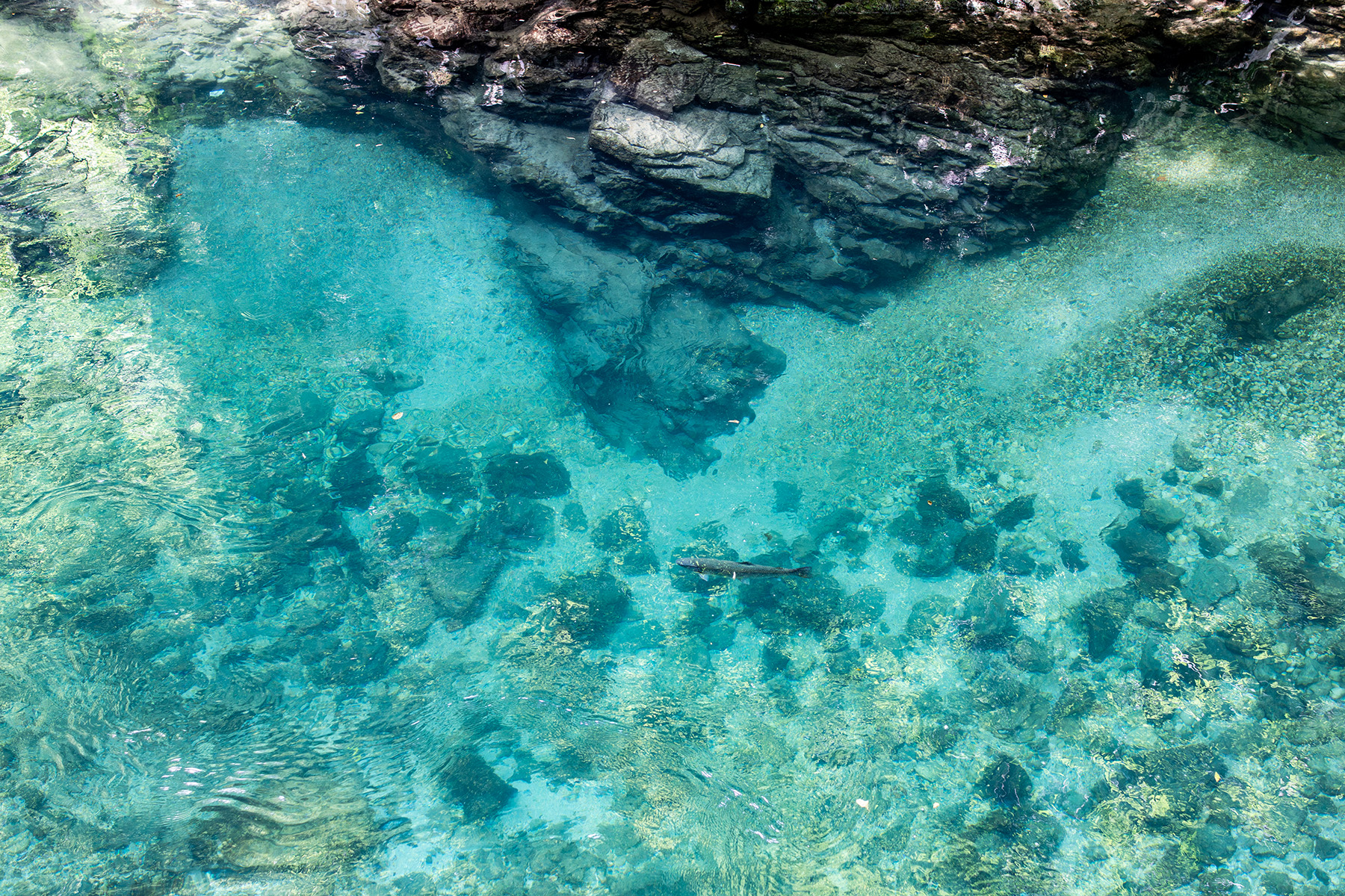 Roadtrip though Balkan 2025