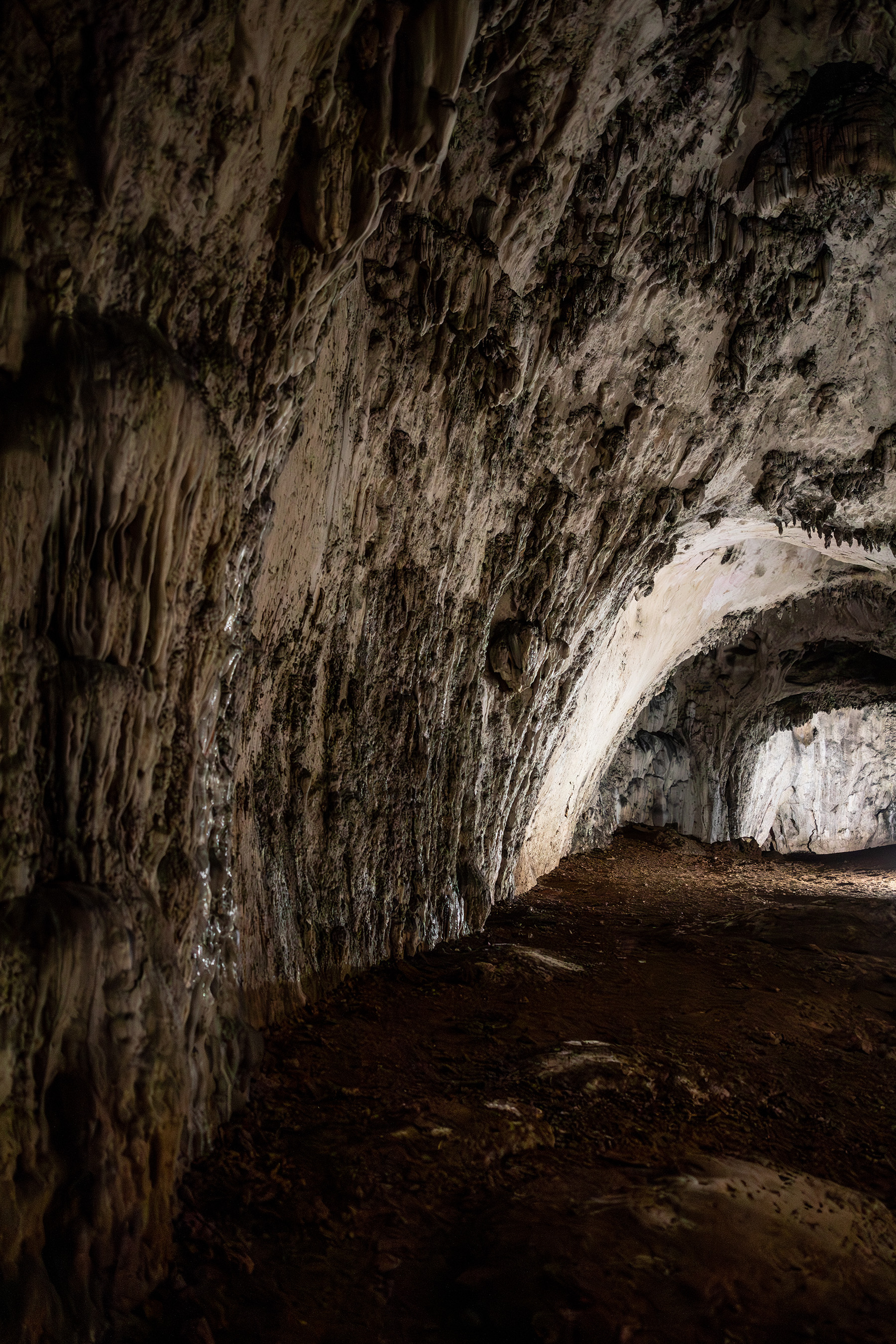 Roadtrip though Balkan 2025