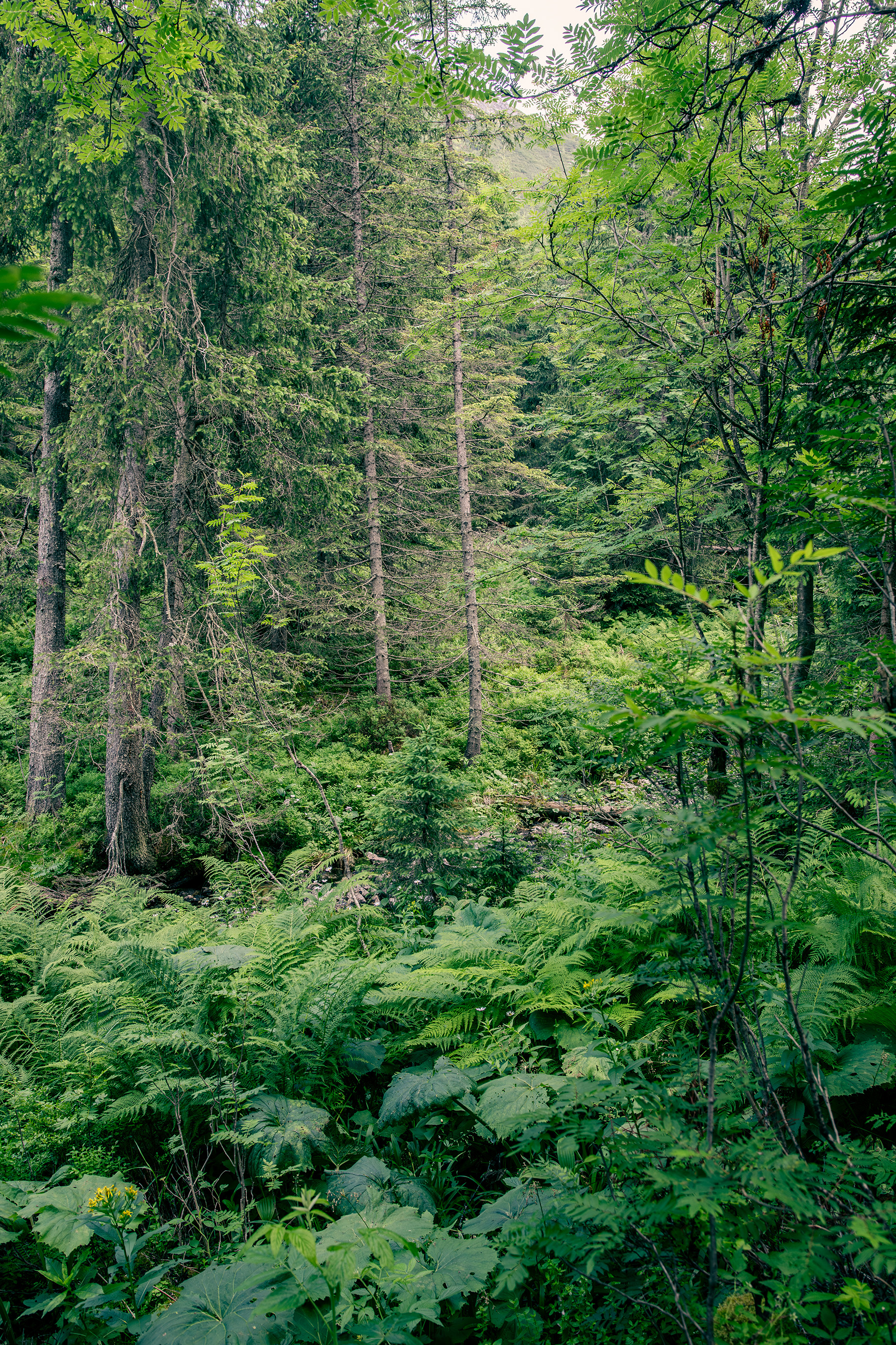 Roadtrip though Balkan 2025