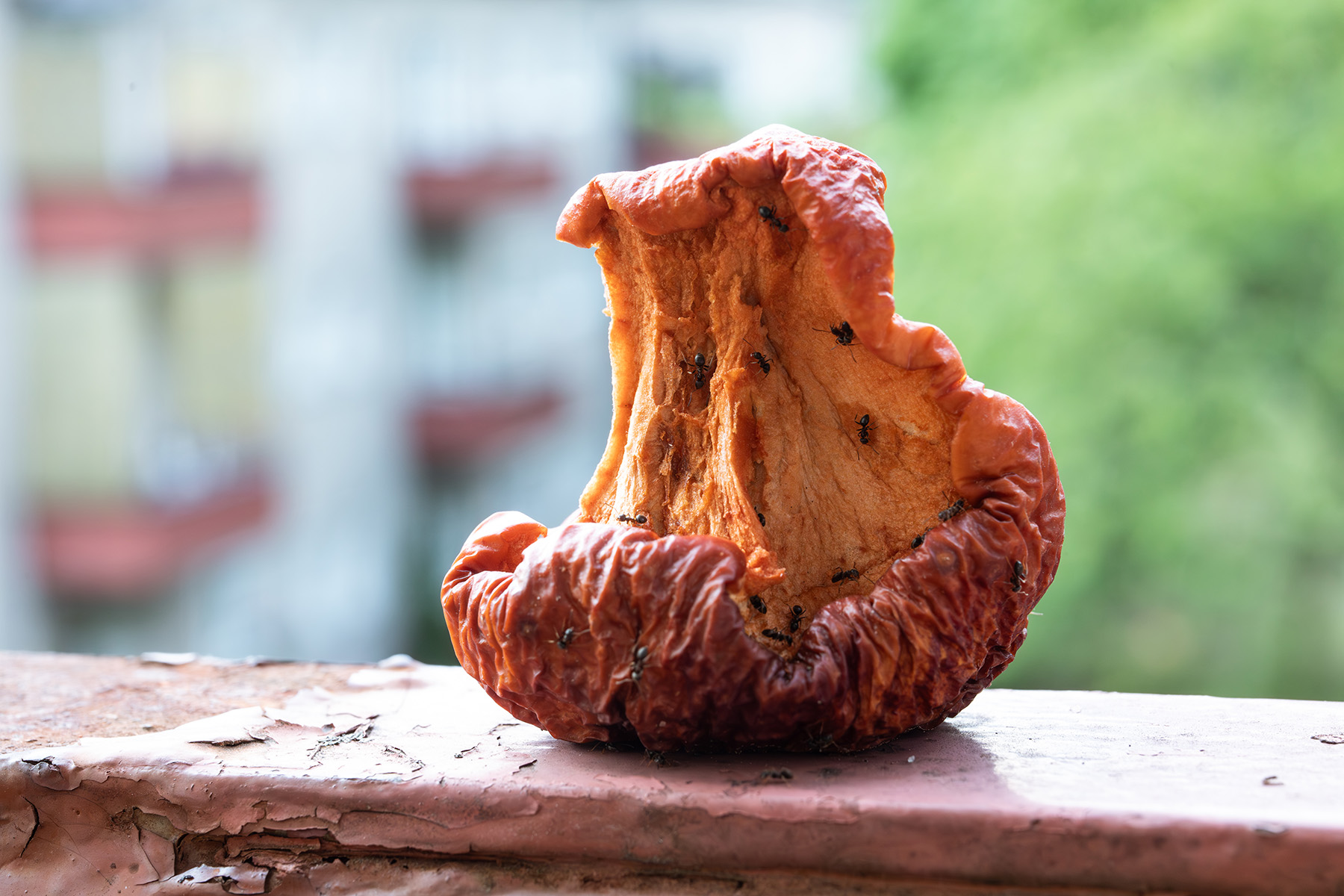 Roadtrip though Balkan 2025