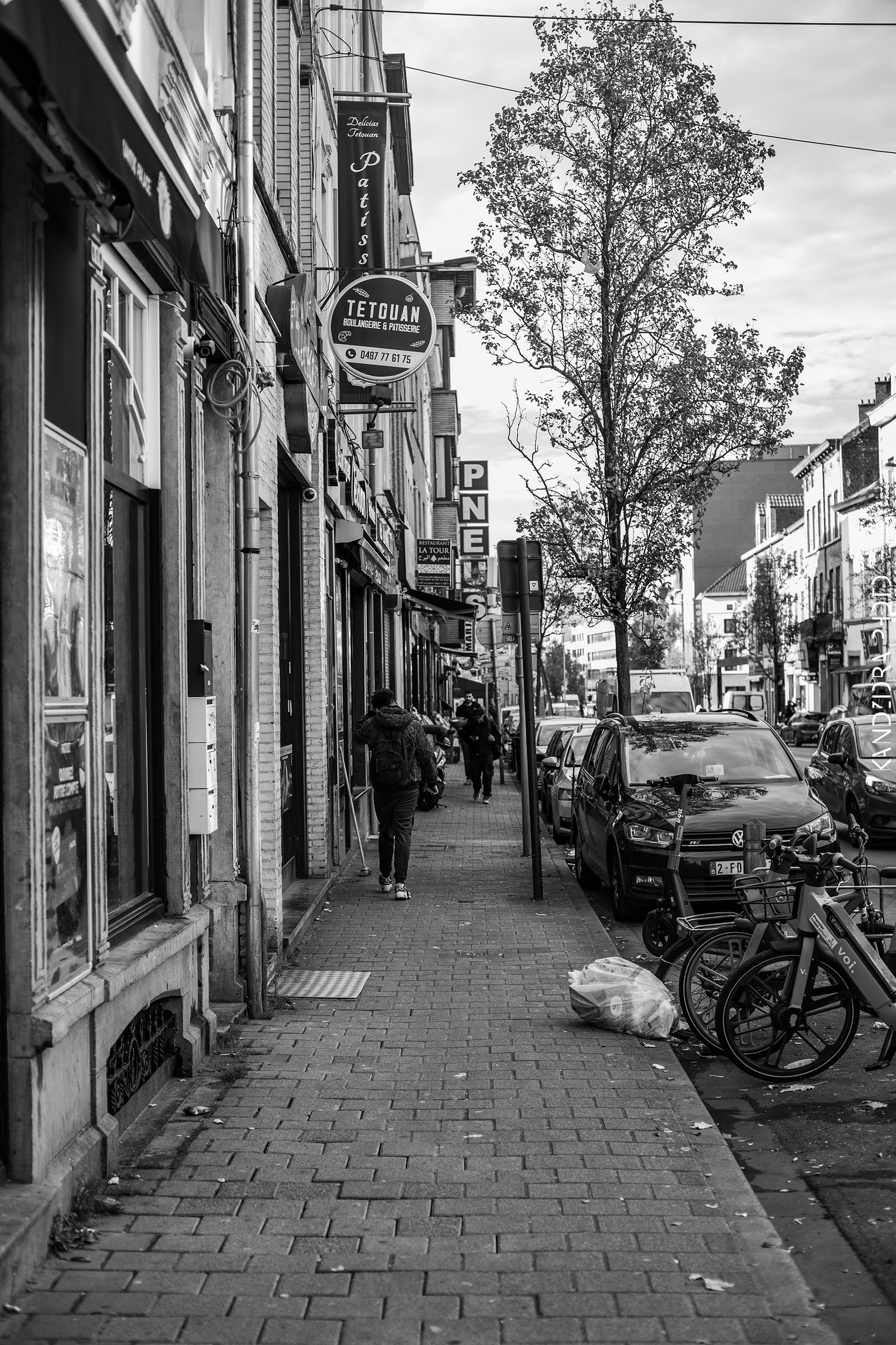 Railroad Trip to Belgium and Netherlands