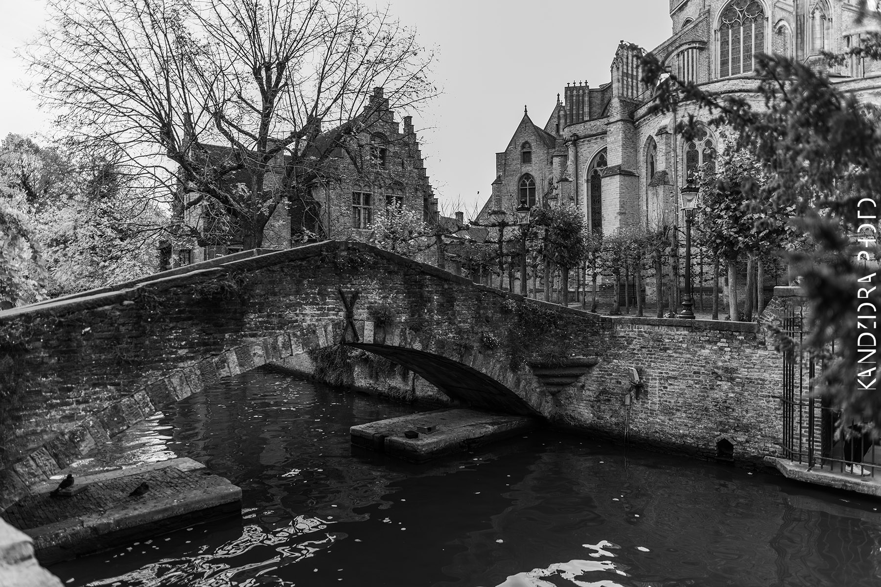 Railroad Trip to Belgium and Netherlands