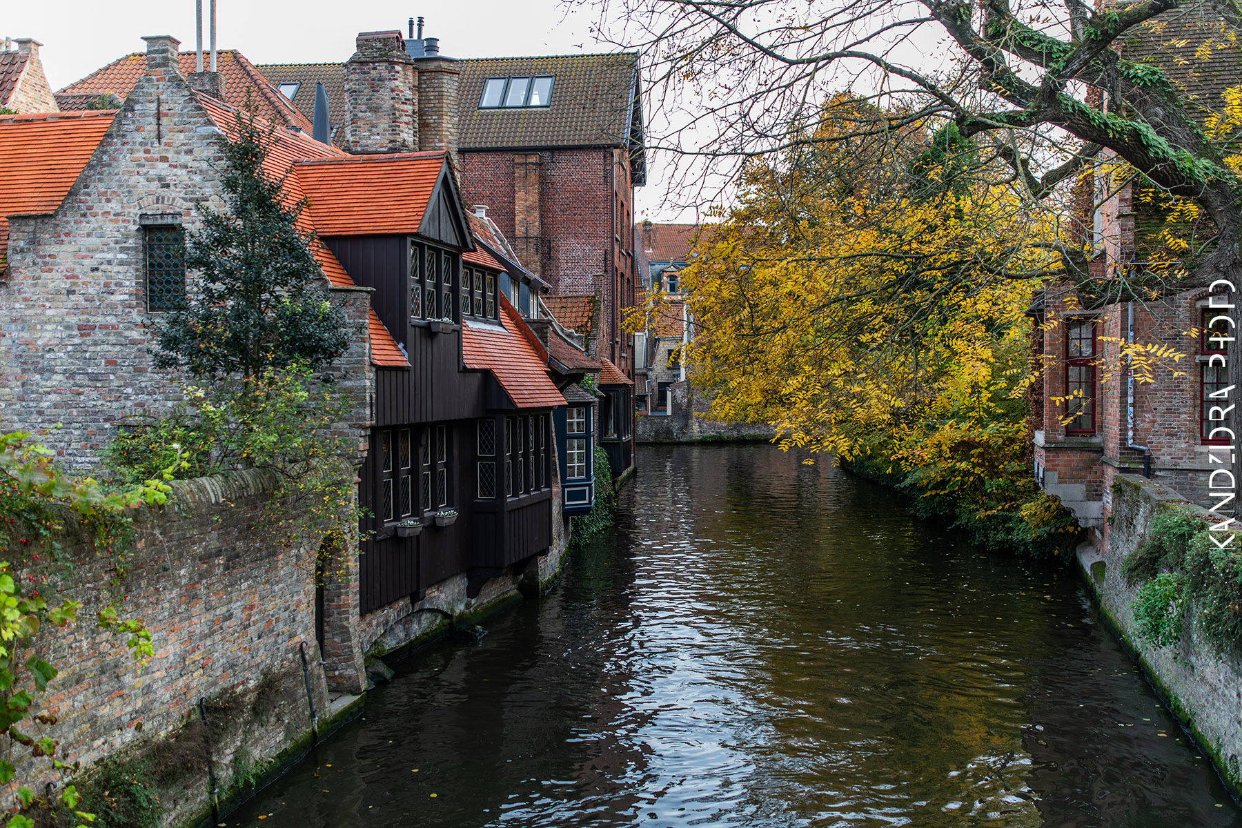 Railroad Trip to Belgium and Netherlands